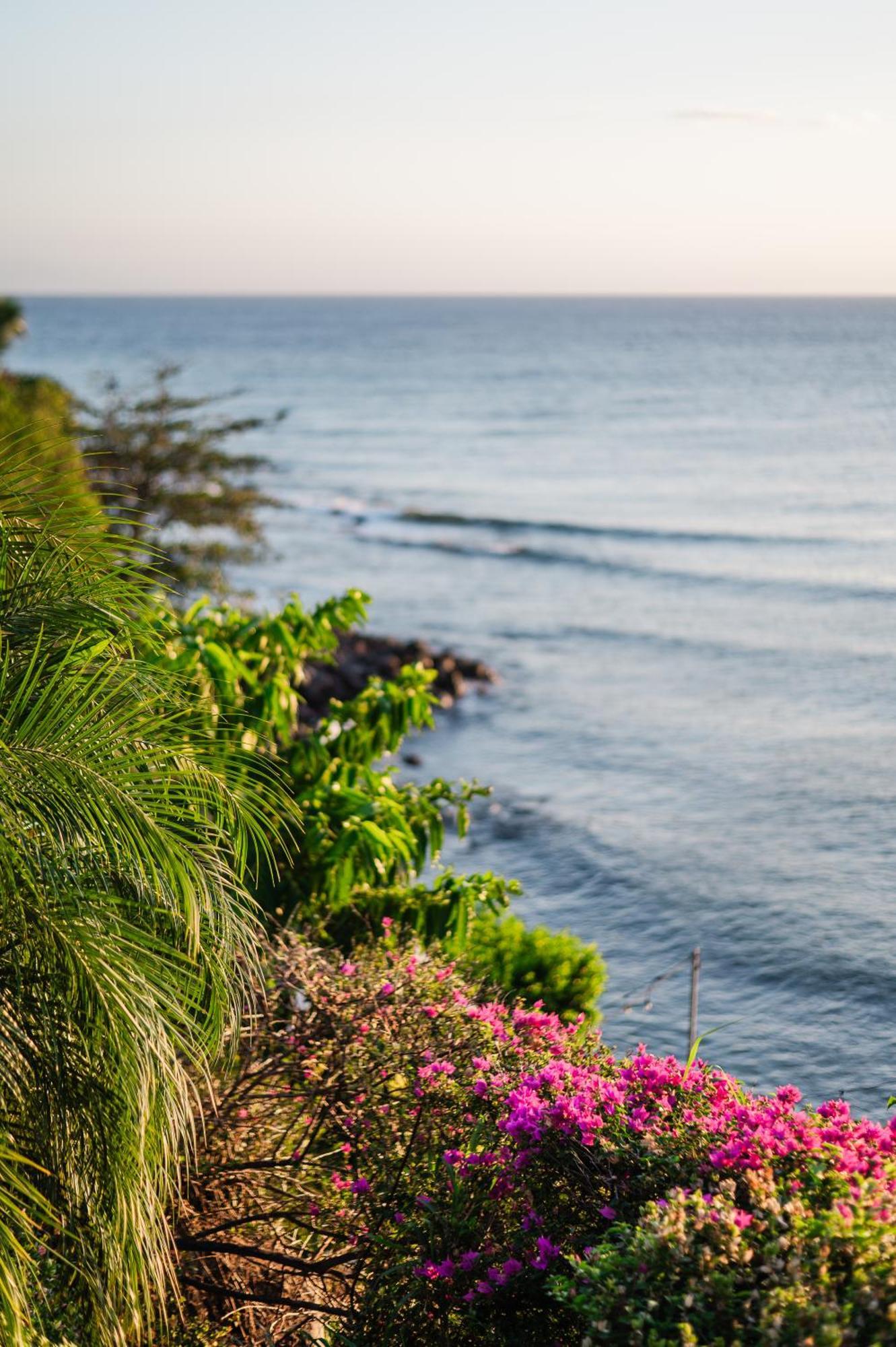 Hotel Sunset Reef St. Kitts Ottleyʼs Village Exteriér fotografie