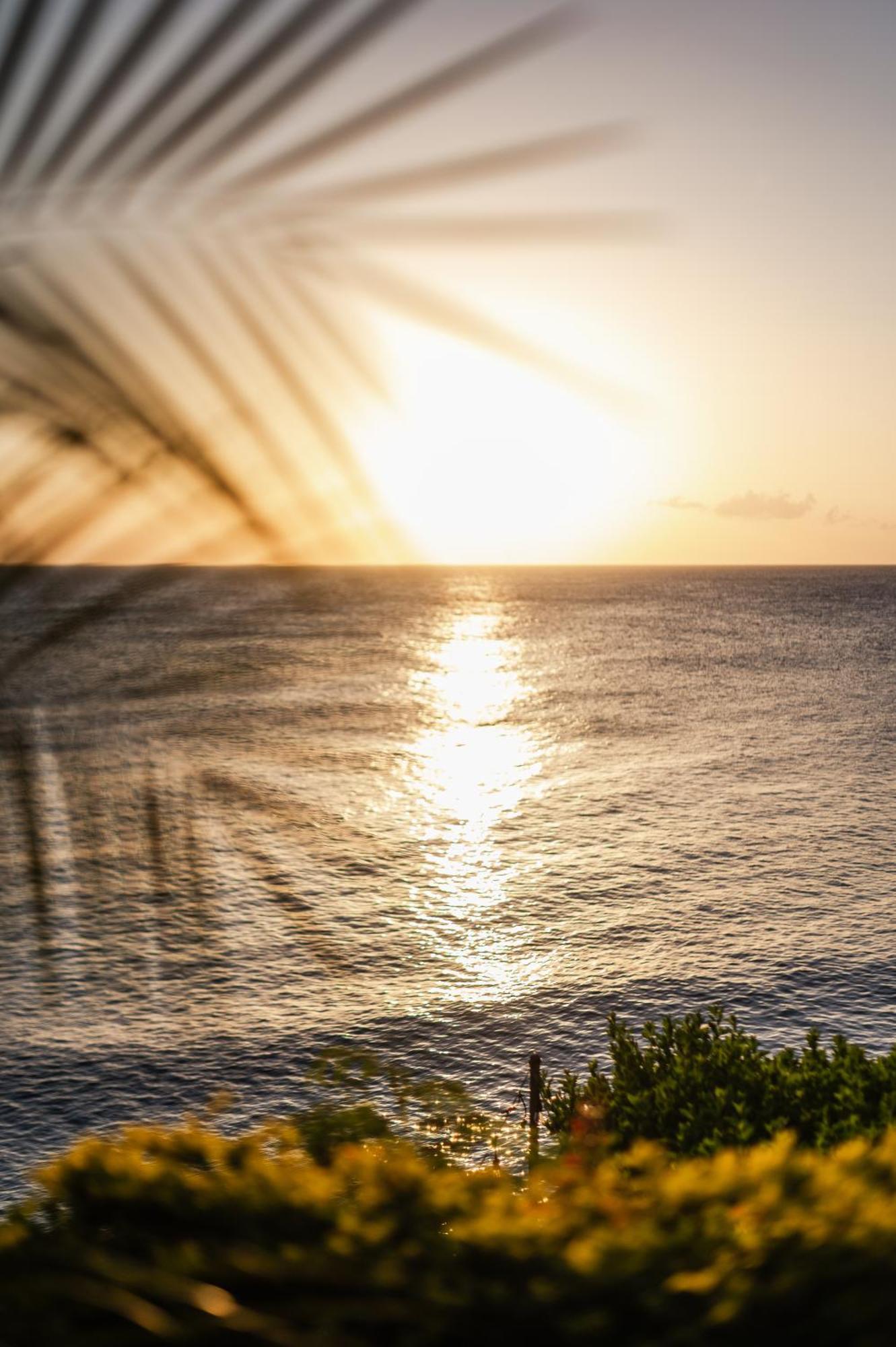 Hotel Sunset Reef St. Kitts Ottleyʼs Village Exteriér fotografie